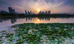 既占领了航天经济